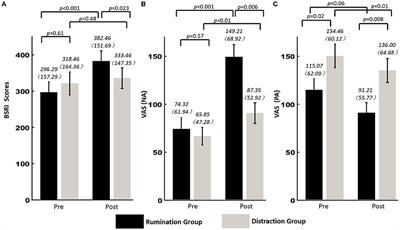 Psychometric Properties of the Chinese Version of the Brief State Rumination Inventory